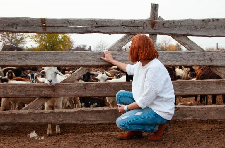 Woman visiting farm animals