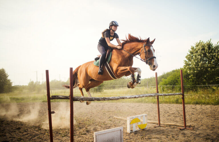 Young female jockey on her horse leaping over hurdle