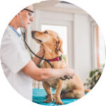 Experts with 20+ Years of Experience